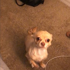 Meet your Posher, Deitra